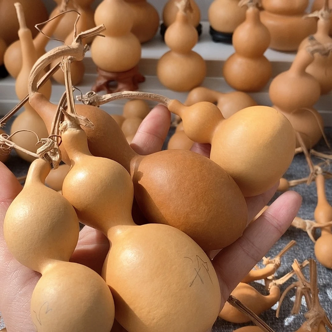 邗*1111111111111111