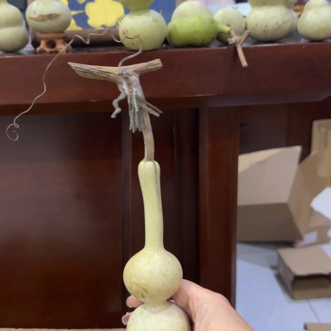 青皮不包成青皮不包成