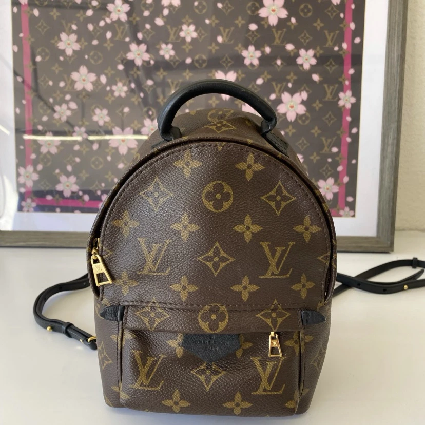 95新 LouisVuitton/路易威登 LV老花mini双肩包 25120117-02