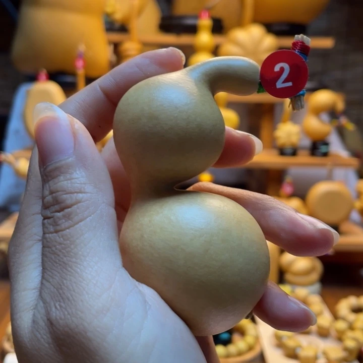 ꒰***꒱天然葫芦自然生长