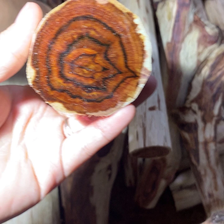 黄花梨/降香黄檀海南黄花梨