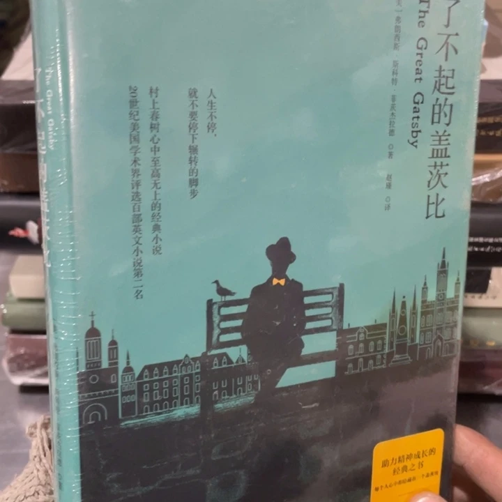 了不起的盖茨比精装塑封