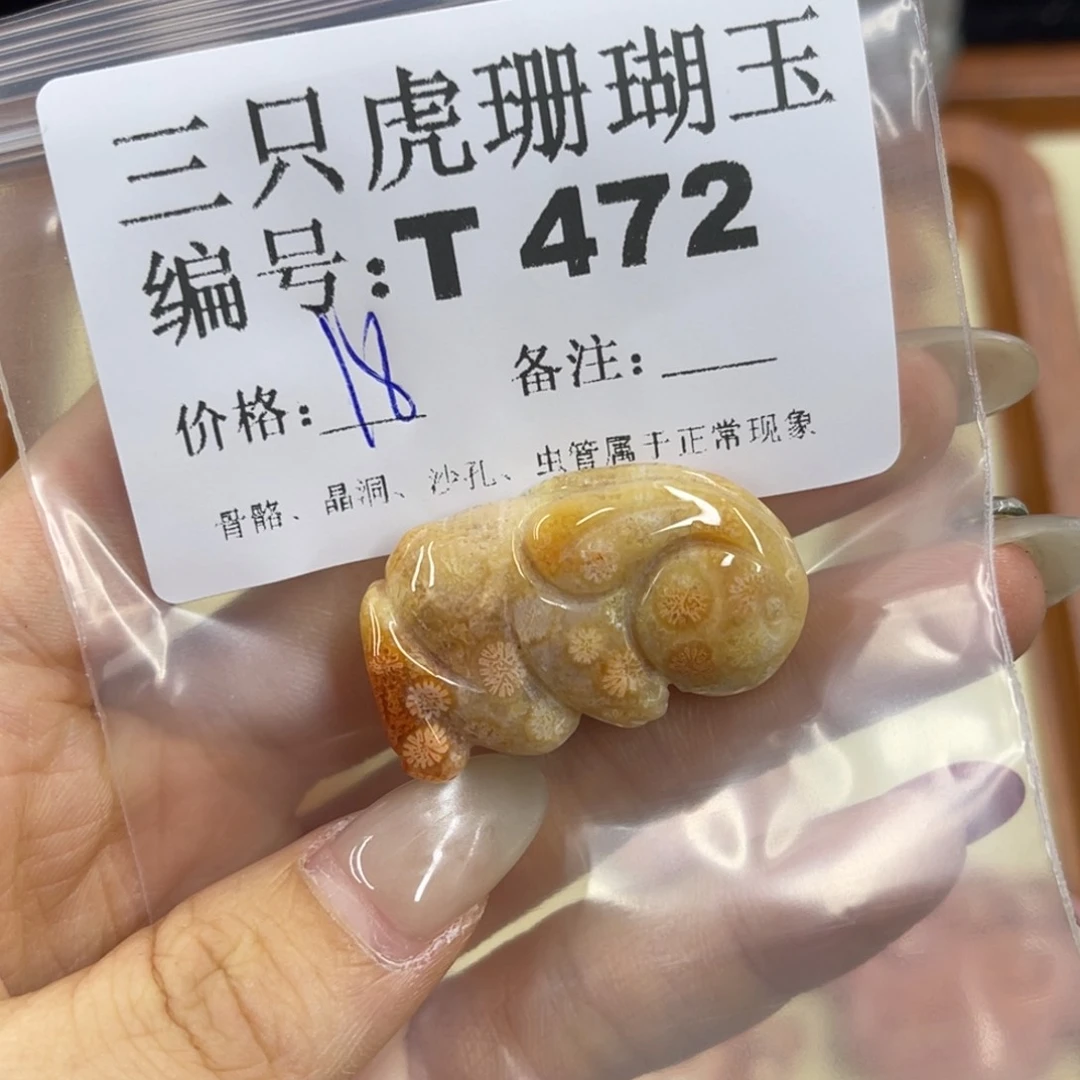 梦***瑶硅化珊瑚（珊瑚玉）h未镶嵌