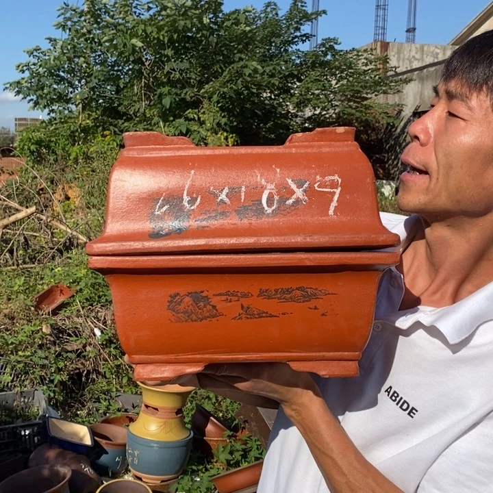 花盆紫砂这个世界上最好的