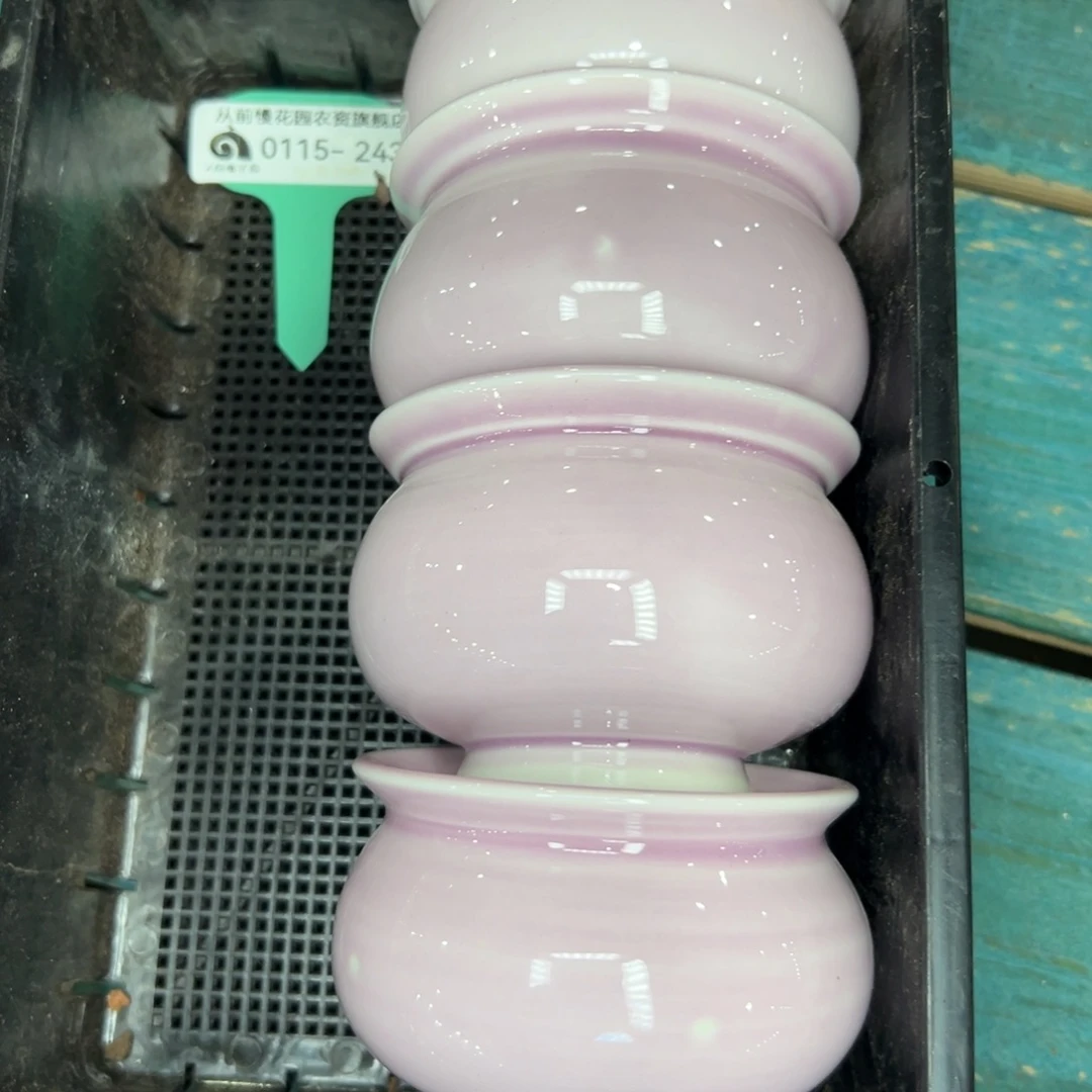 多肉精选编号0115.243