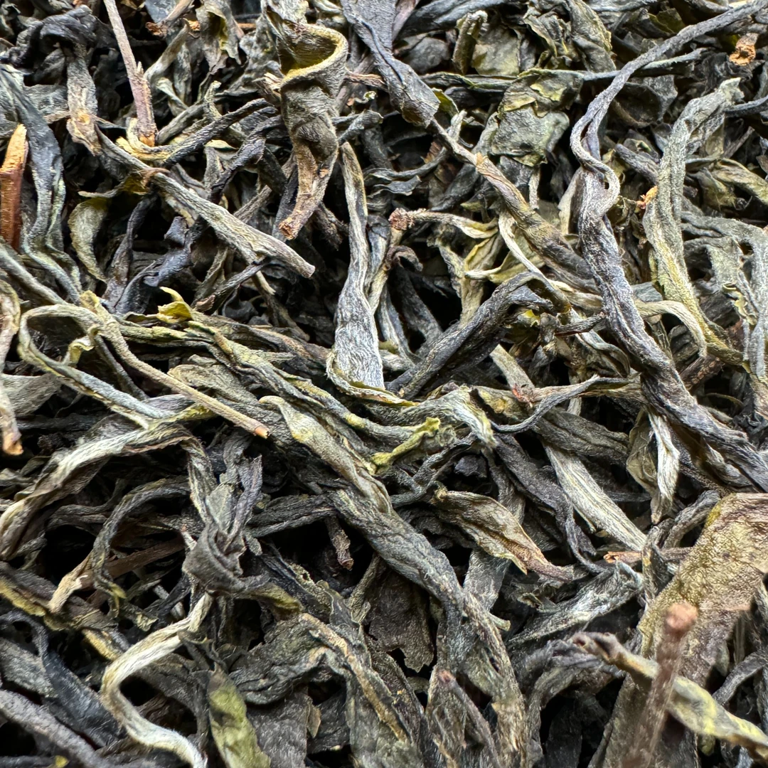 绿水塘300年古树 2025年 头春头采 普洱茶（生茶） 散茶