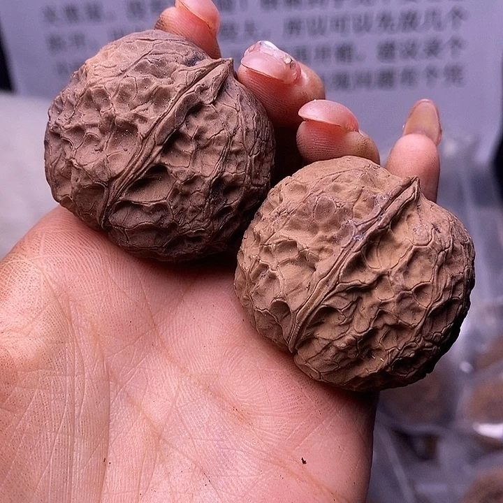 核桃云南野生铁核桃175号40mm