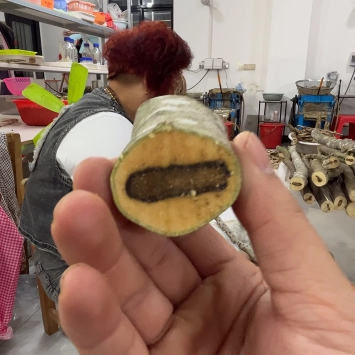 线香奇楠沉香原木