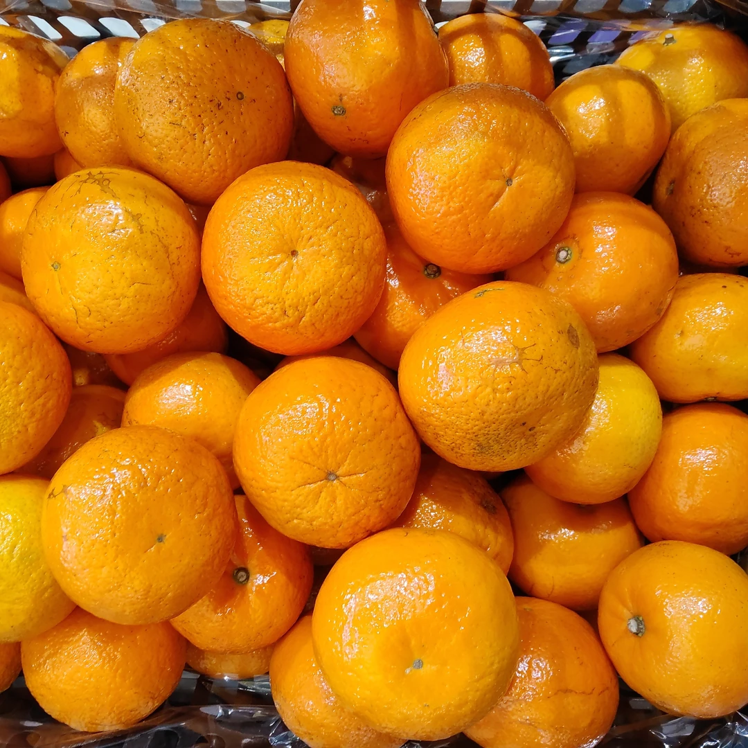 [爆汁沃柑橙]500g左右甜橙广西壮族自治区