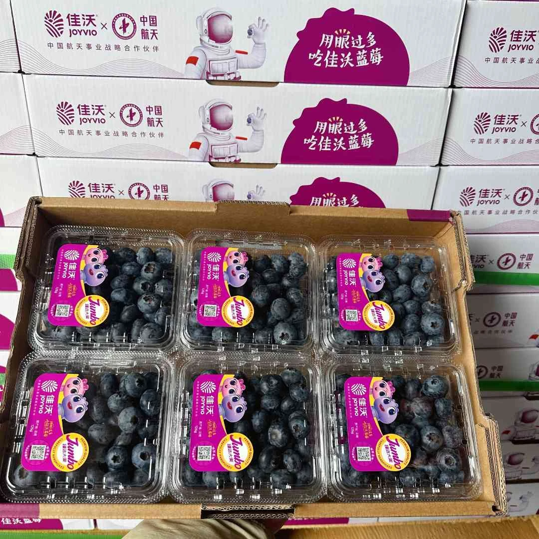 佳沃云南高山18mm臻选蓝莓1500g