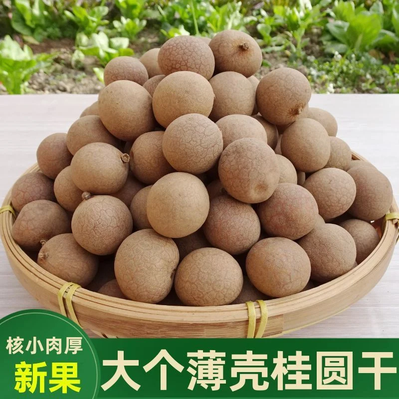 福建大果桂圆干当季新货核小肉厚特级可泡水炖汤泡茶