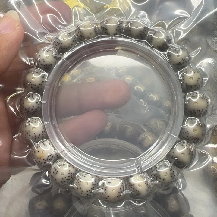 星月菩提手串飞**a12大眼睛