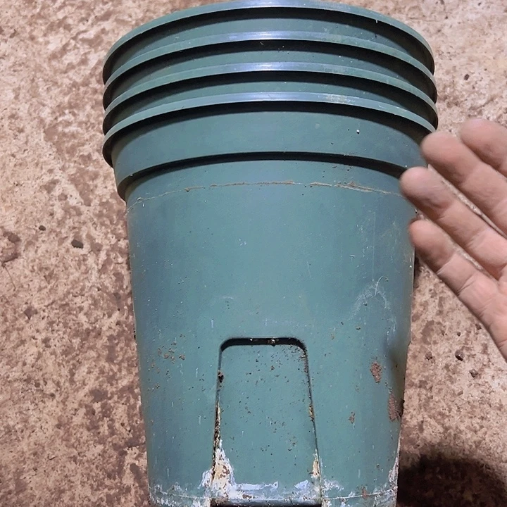 加仑盆口径23.5高24发5个