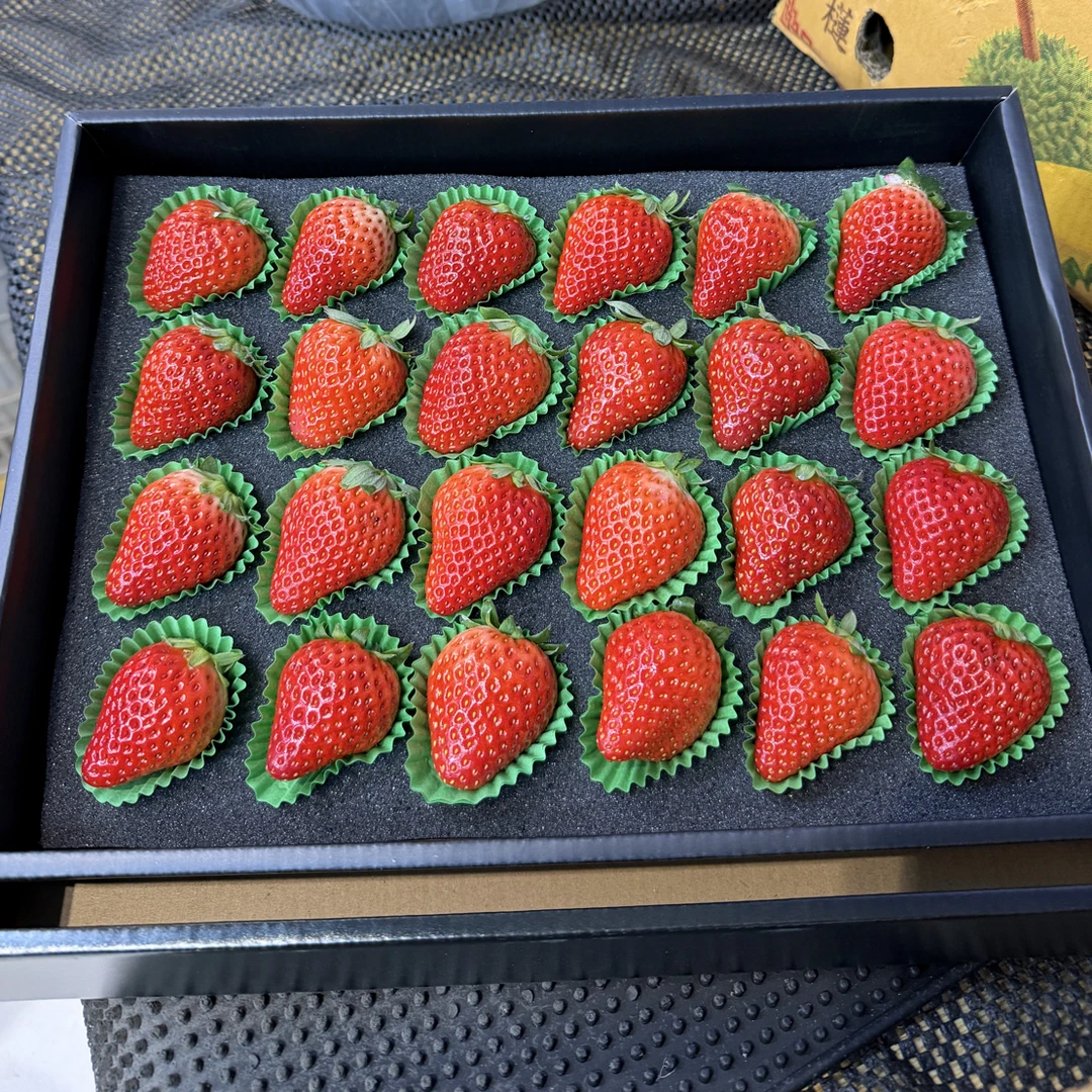 丹东红颜草莓，500g左右