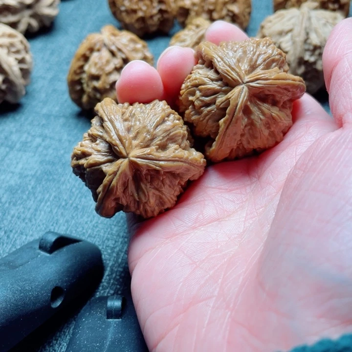 【***】手工三棱白狮子三棱