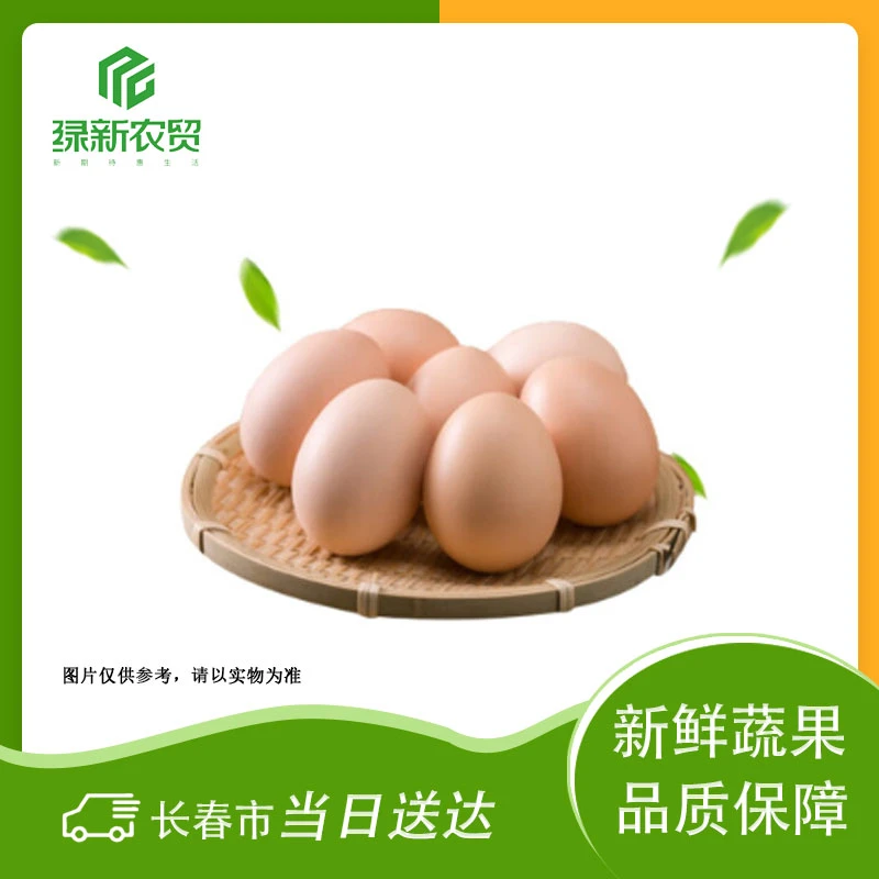 散鸡蛋 10枚/盒约600g±50g