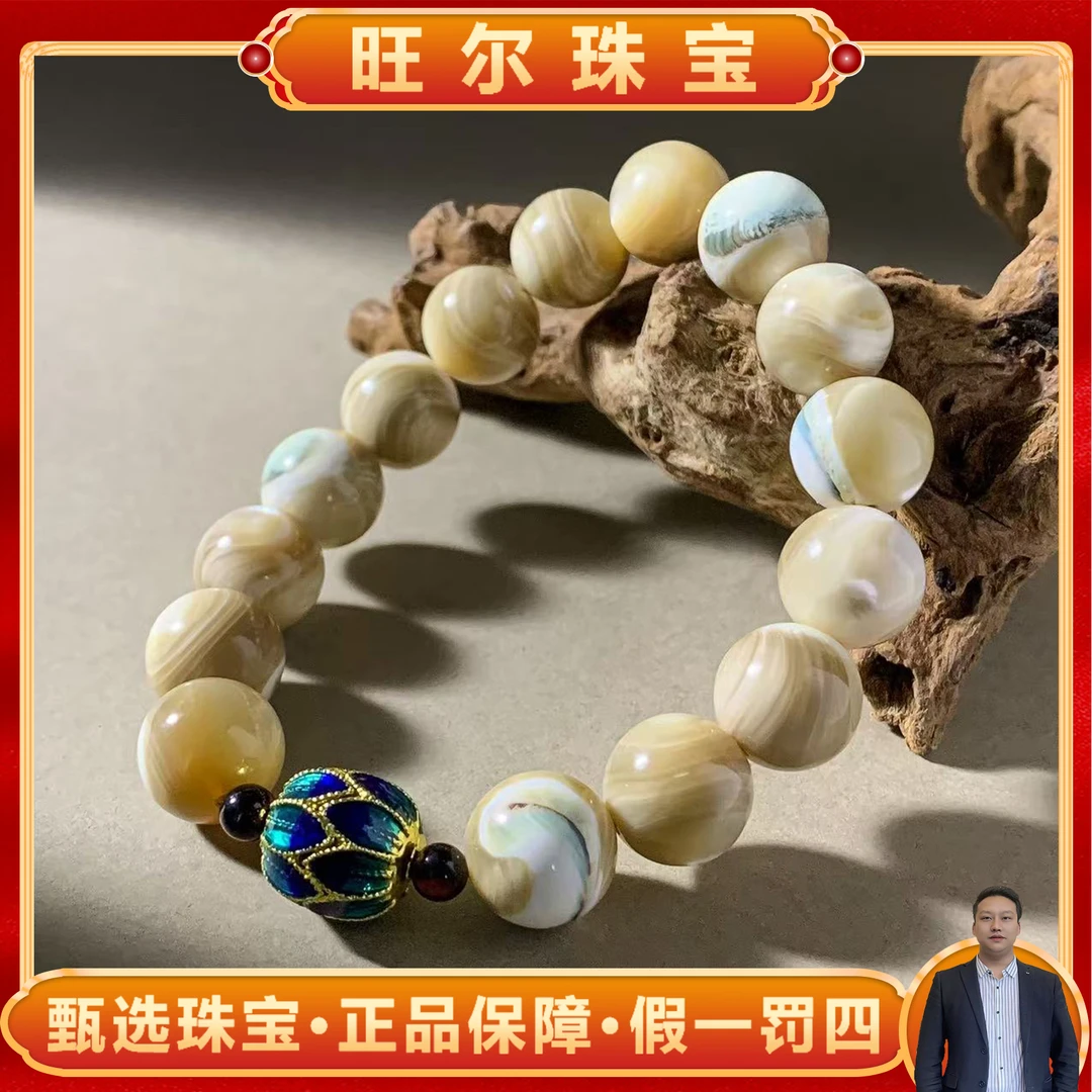 C3862卡12卡13左右-猫眼五彩贝壳手串