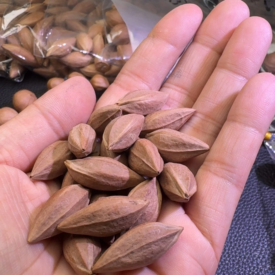 非***头手串/手链橄榄核1