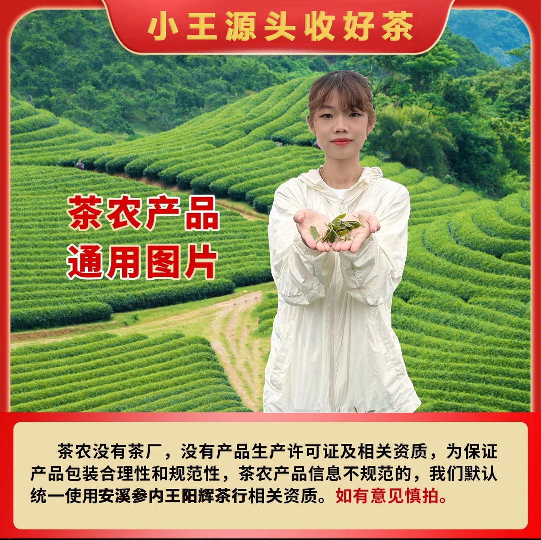 金奖好茶-铁观音