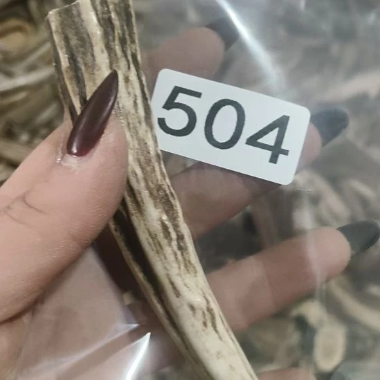 沙***漠鹿角鹿角鹿角鹿角鹿角鹿角