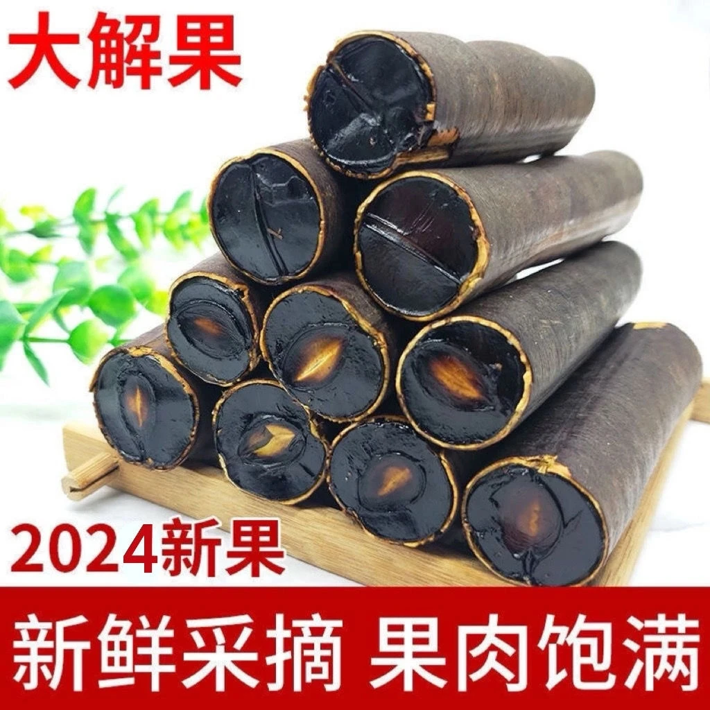 便秘果茶大解果腊肠果段云南新鲜人工挑选饱满晒干可泡茶的农产品