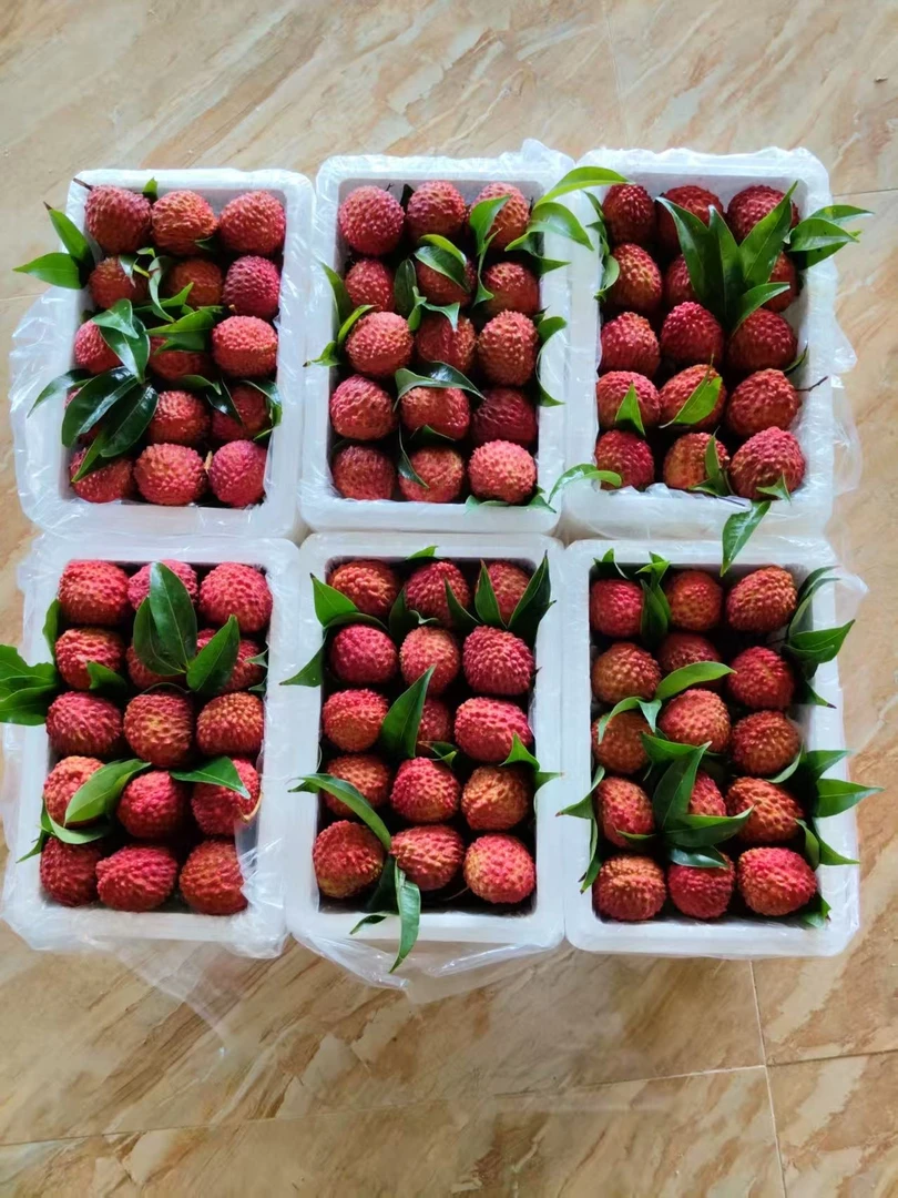 海南A级火山岩荔枝王空运直达现摘现发