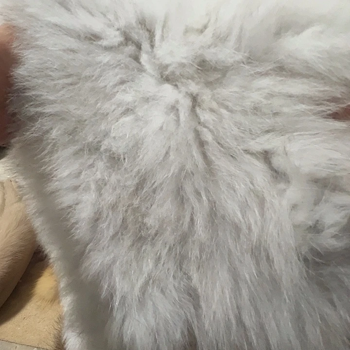 洋***a围脖围脖围巾围脖