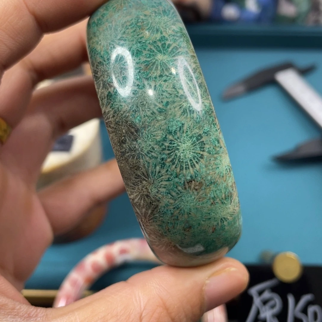 未镶嵌手镯硅化玉