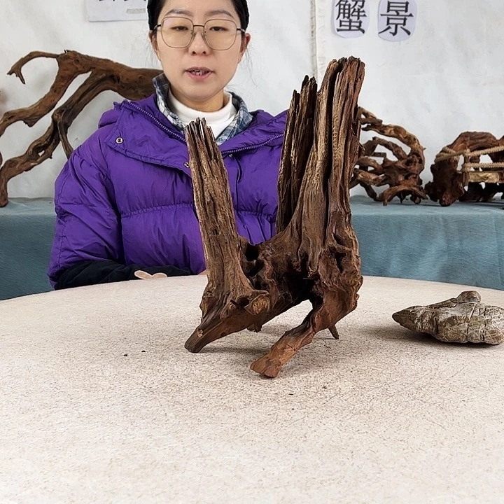 沉木造景爬宠造景