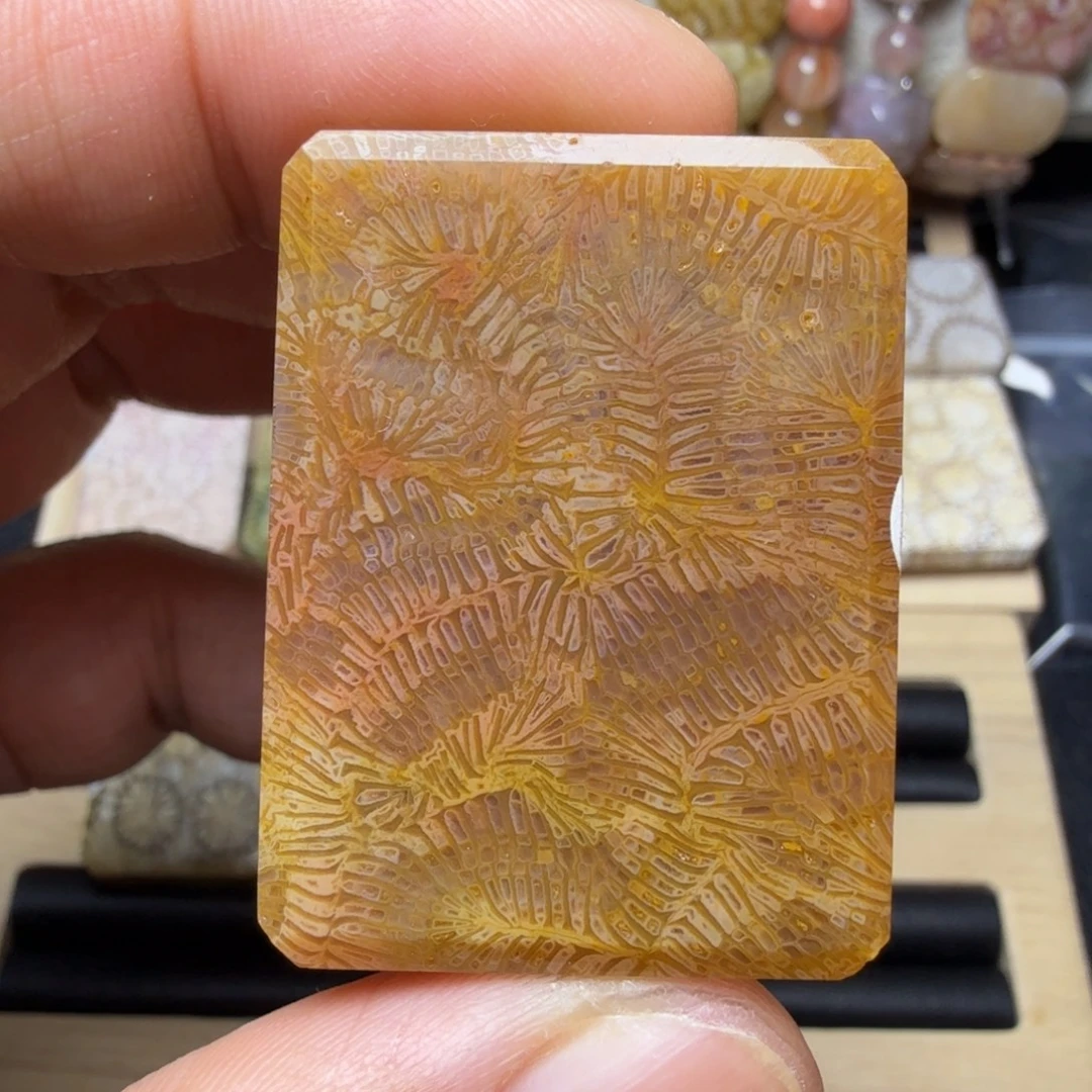 硅化玉未镶嵌天然有机玉石保真色