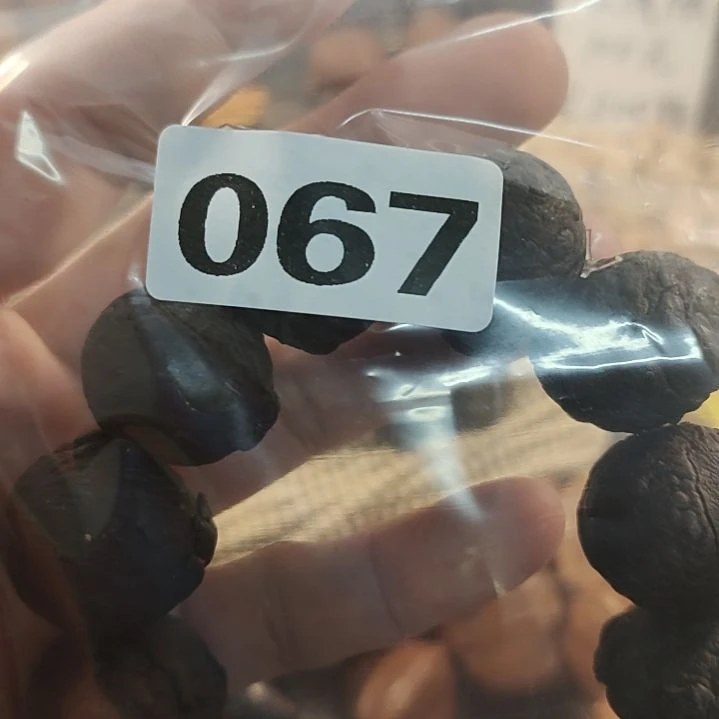 文玩核桃吊坠༺****༻文玩核桃