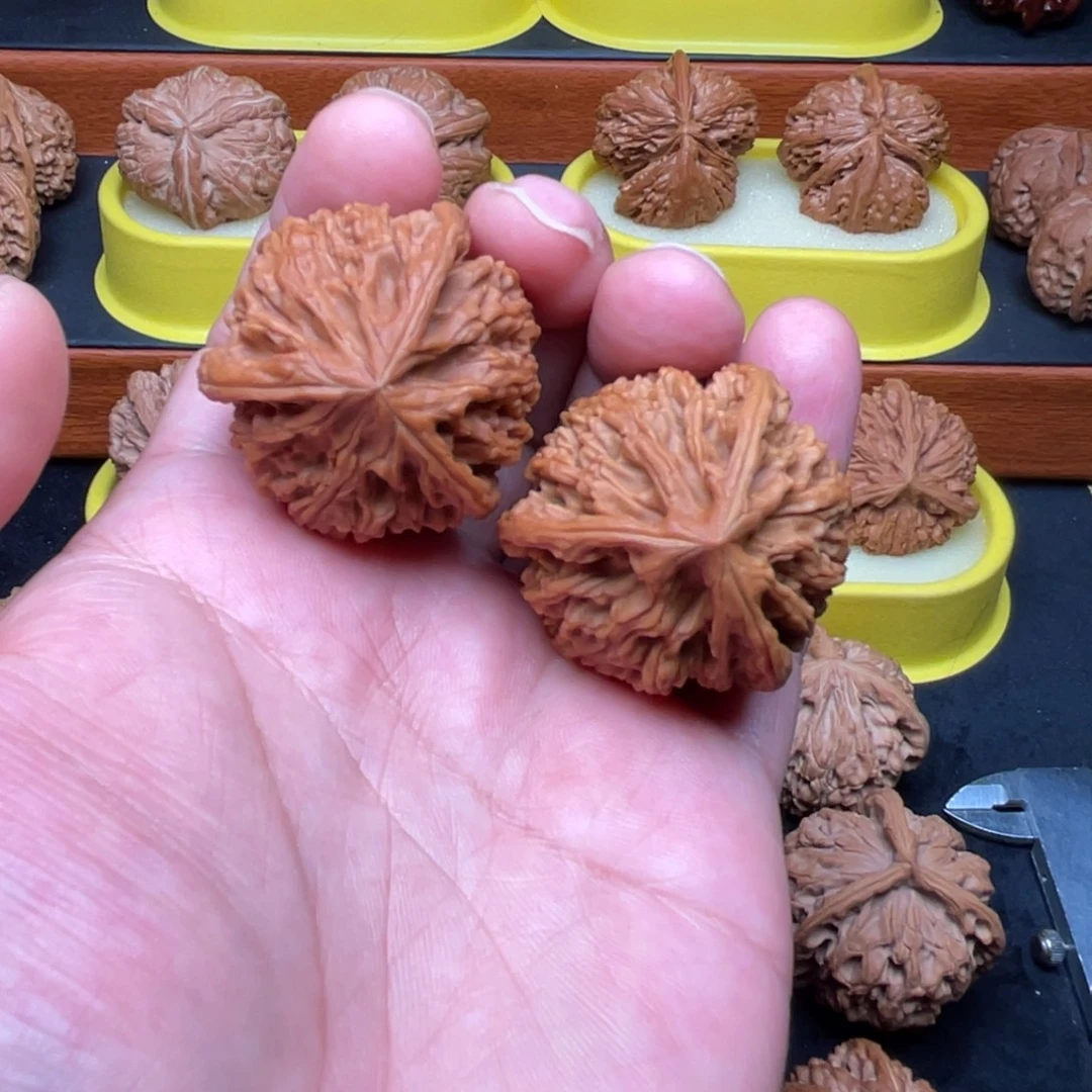 B***E手串/手链核桃玉龙粗筋