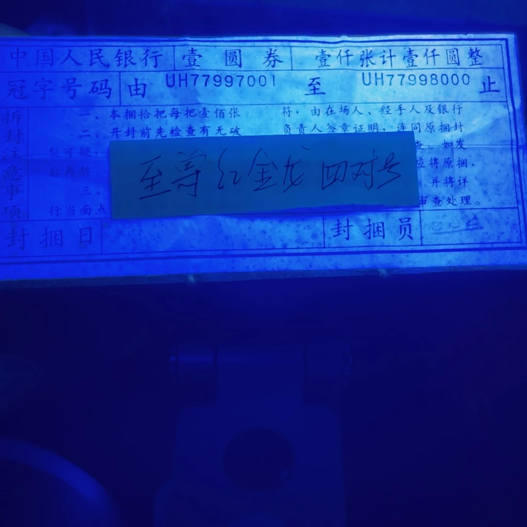 小*红金龙一捆一捆一捆