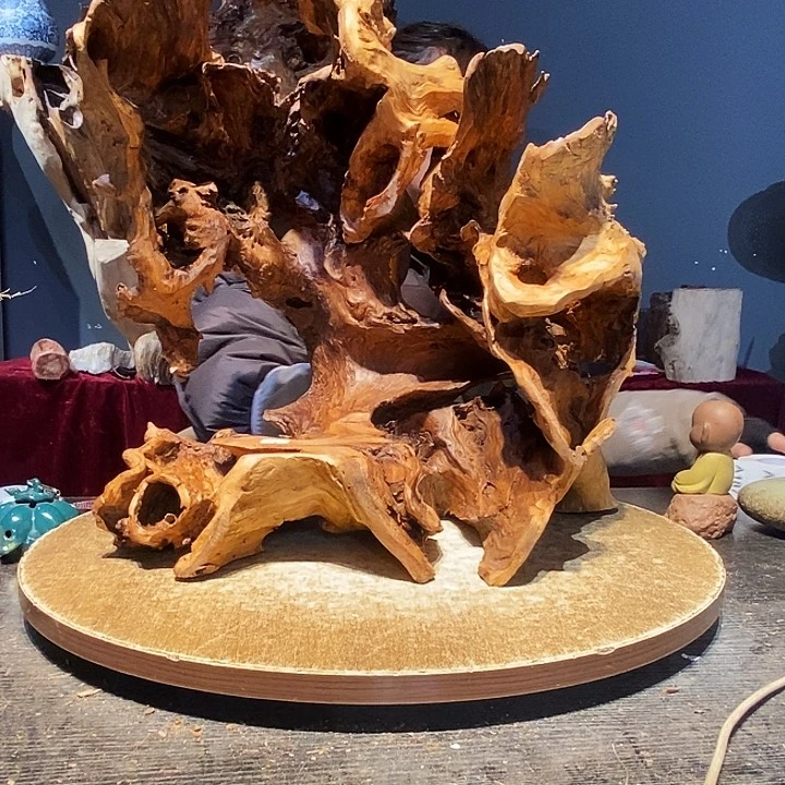 r****j187株木的随行的根艺的