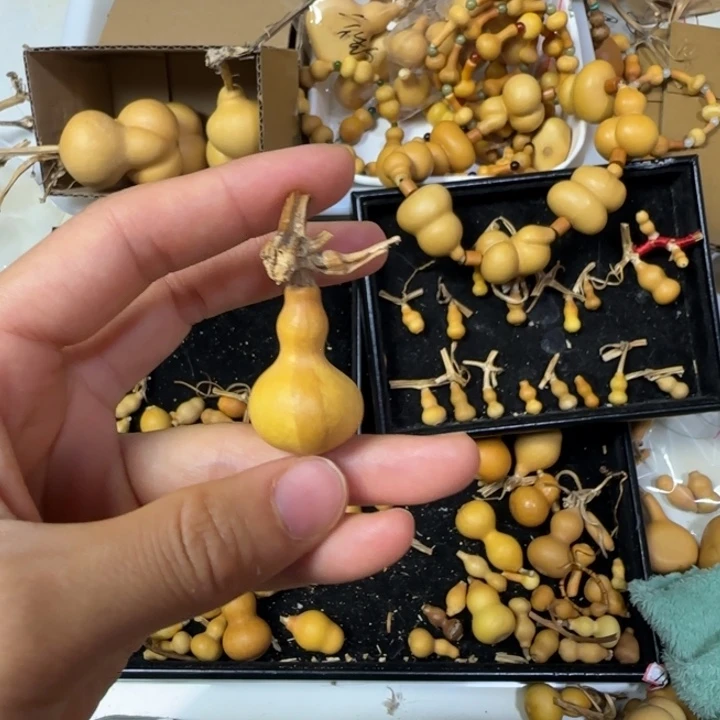 小***子葫芦打孔后不退不换！