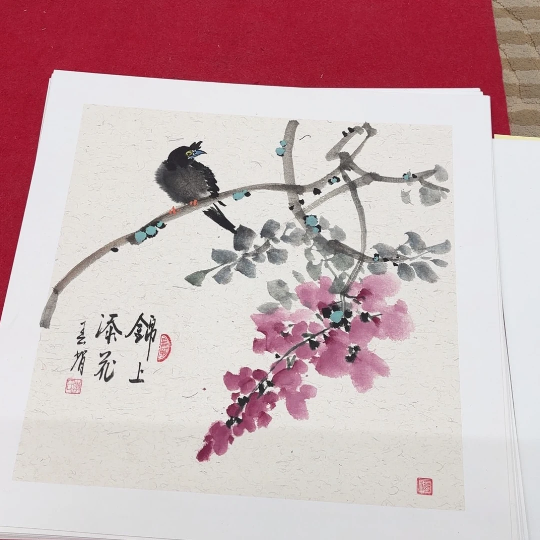 国画花鸟等多种鸟类和鸟类为