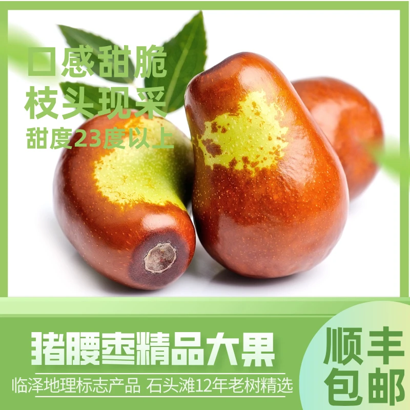 【全国顺丰包邮】临泽猪腰枣鲜枣 昭君枣精选大枣脆枣甜枣 甘肃水果