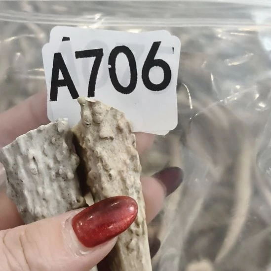 祥***和鹿角鹿角鹿角鹿角鹿角