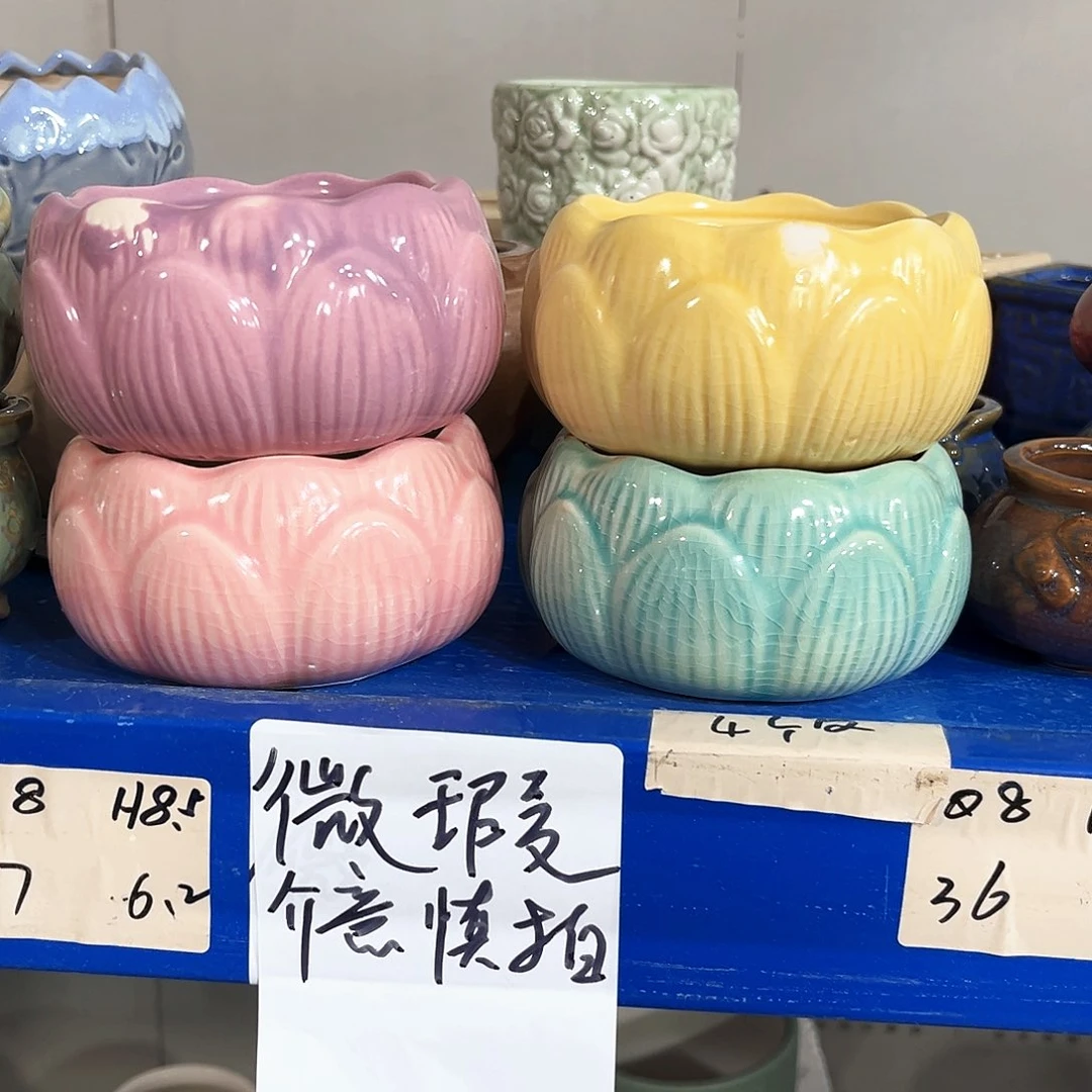 花盆花盆花盆花盆花盆花盆花盆花盆