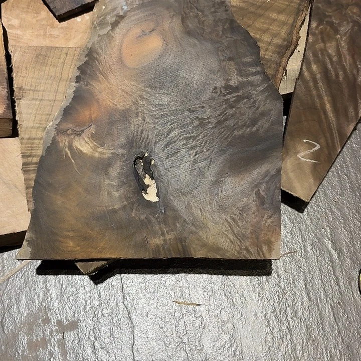 金***）四川小叶金丝楠原材料