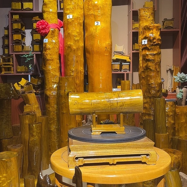 金丝楠小叶桢楠金丝楠