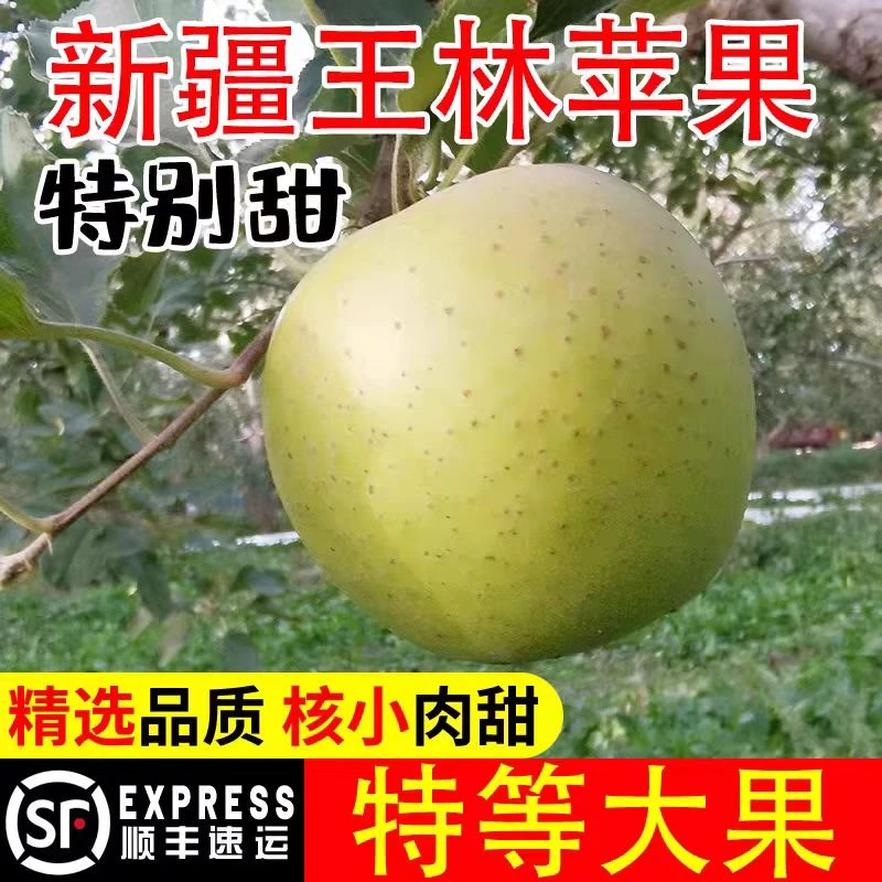 【顺丰包邮】新疆阿克苏青森王林苹果自然成熟高品质纯甜王林苹果