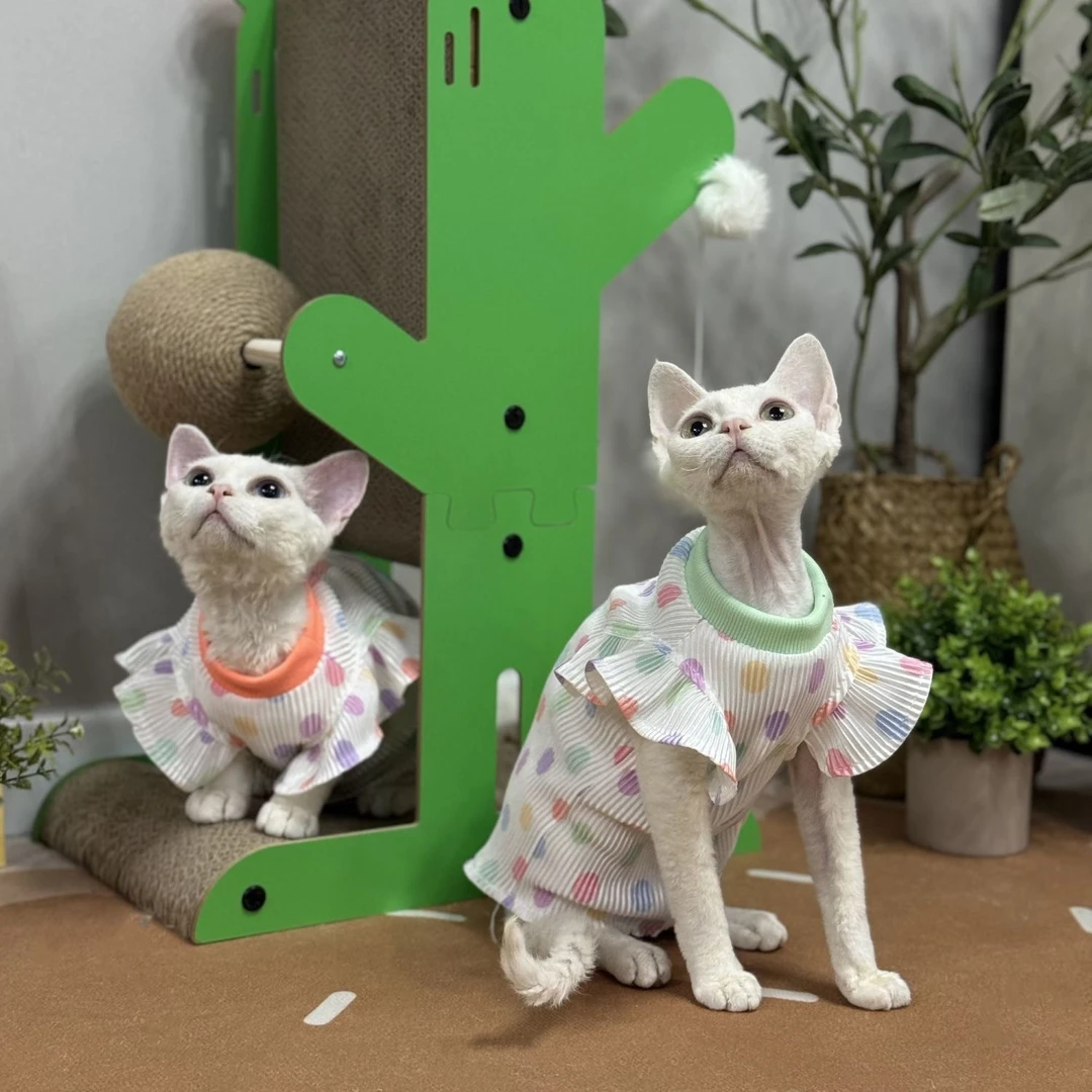 无毛猫衣服夏天薄款可爱小飞袖公主裙透气柔软斯芬克斯德文猫衣服