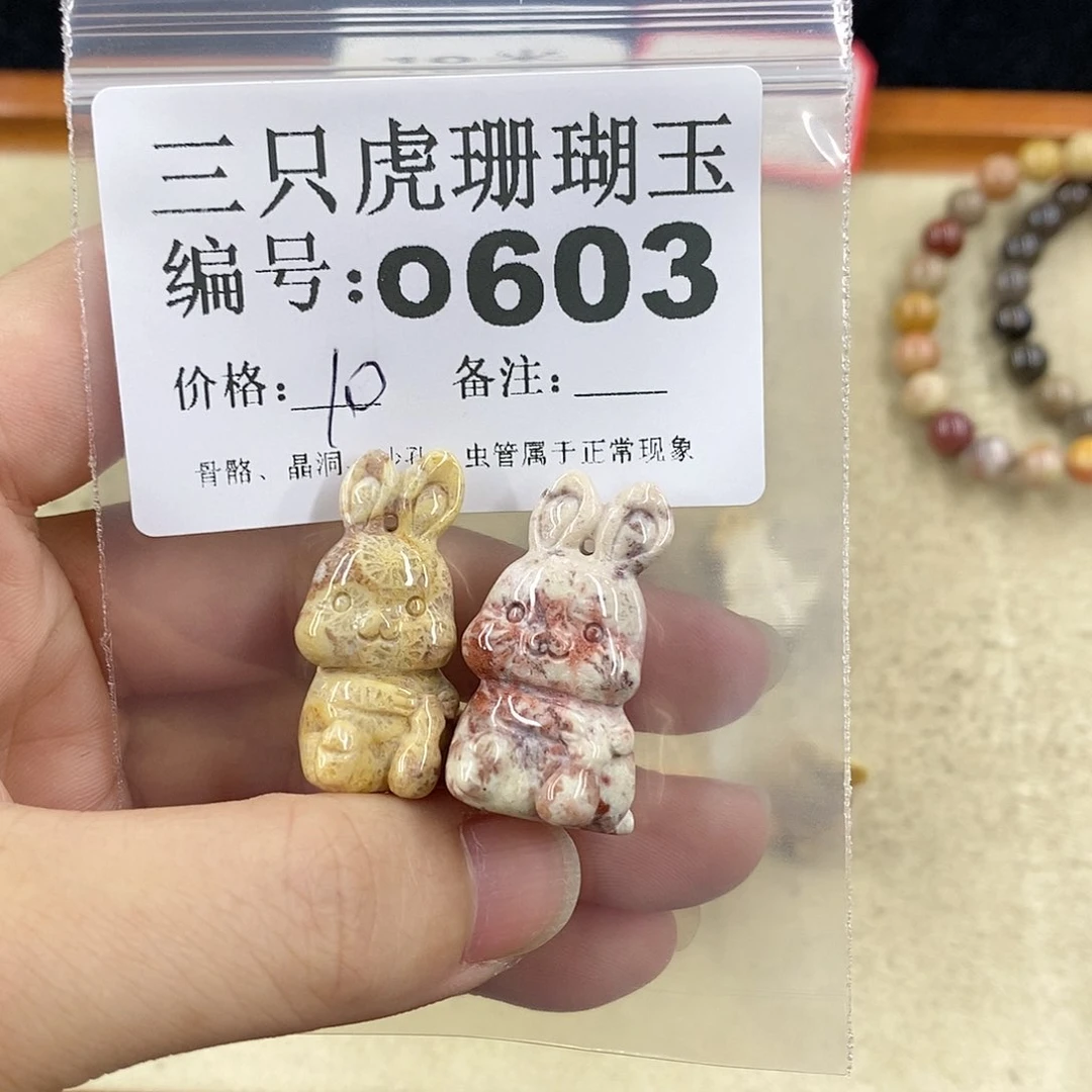 硅化珊瑚（珊瑚玉）1未镶嵌三**5