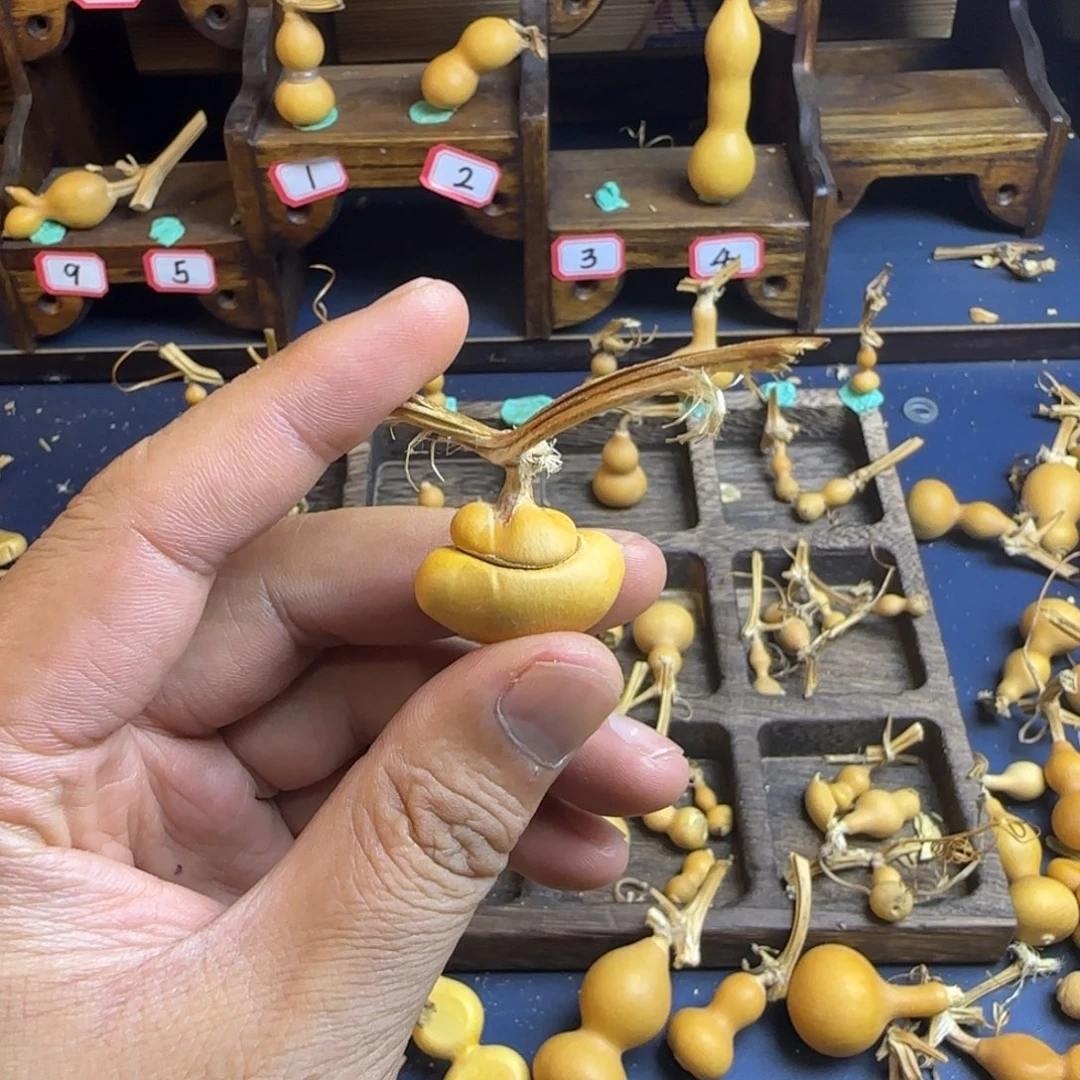 飞***e我是一只小小鸟地域鬼的人