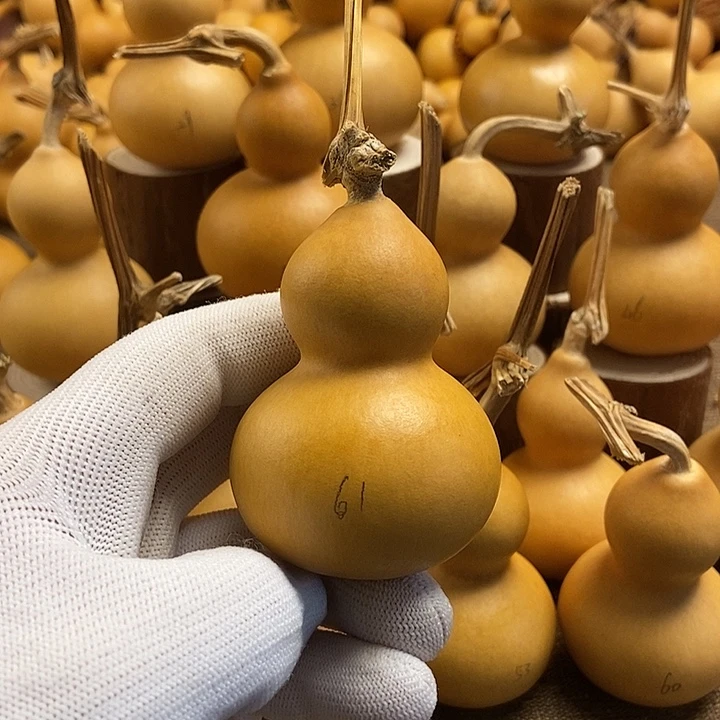文玩葫芦 完美主义者 慎拍61