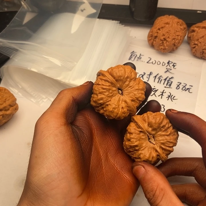 1***.桃核吊坠555555555555555