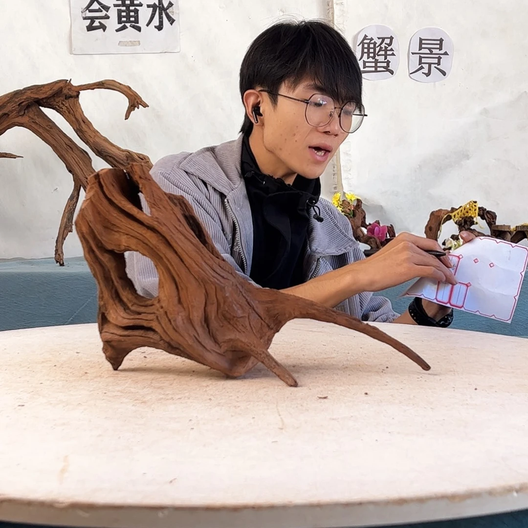 沉木造景爬宠造景