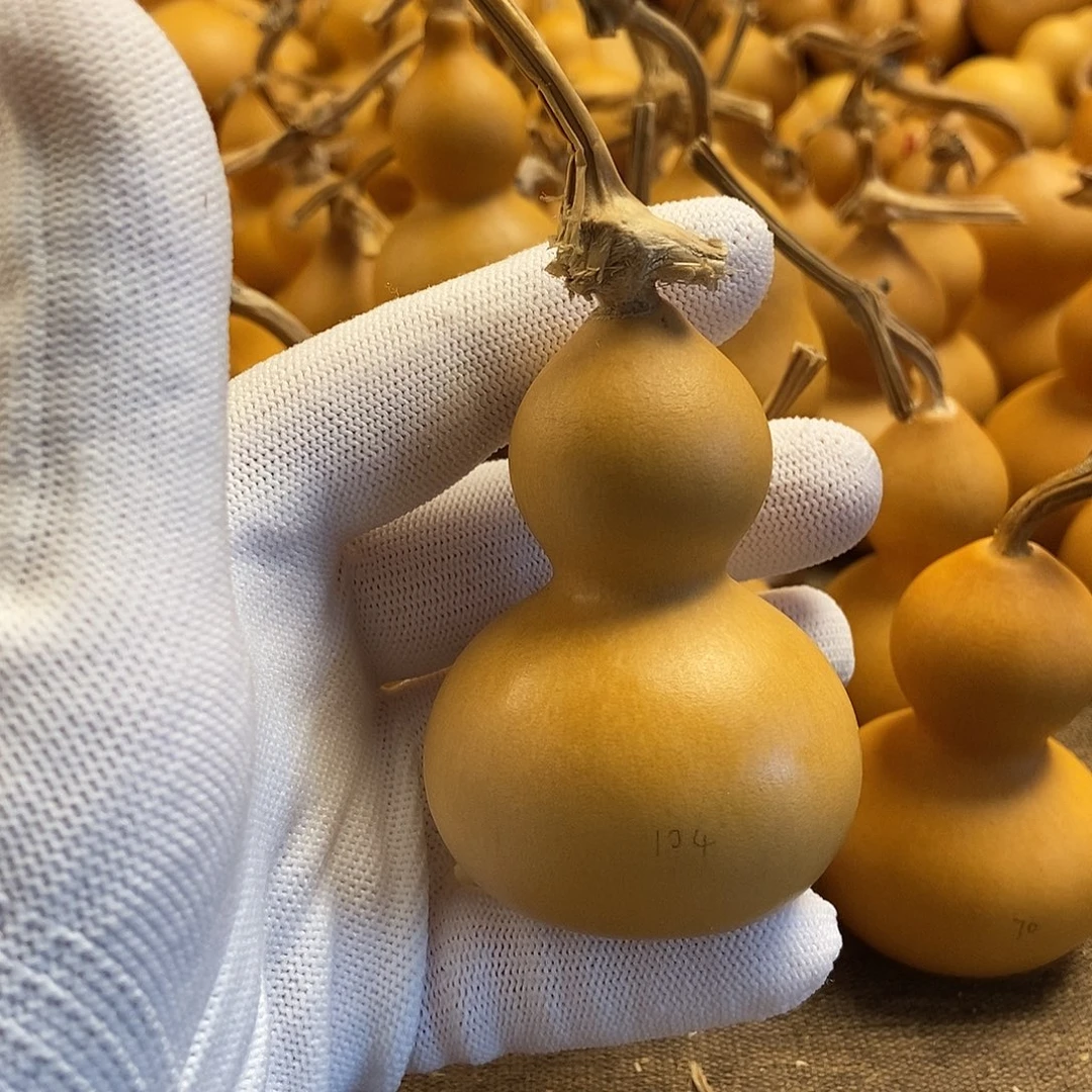 文玩葫芦 完美主义者 慎拍104