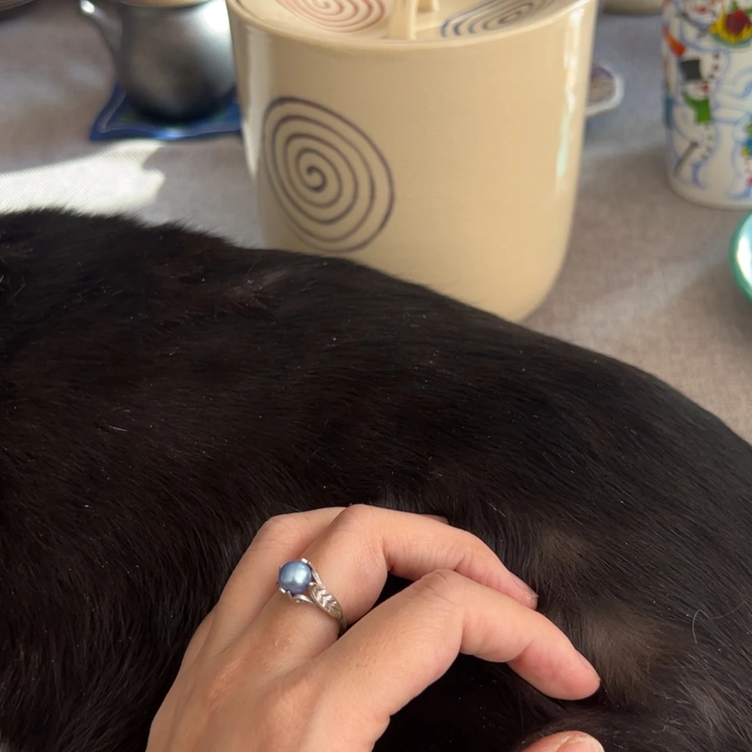 陶瓷艺术的发展和